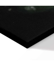 Paveikslas Miško gyvenimas