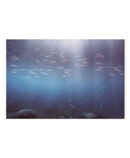 Paveikslas Žuvų gelmės