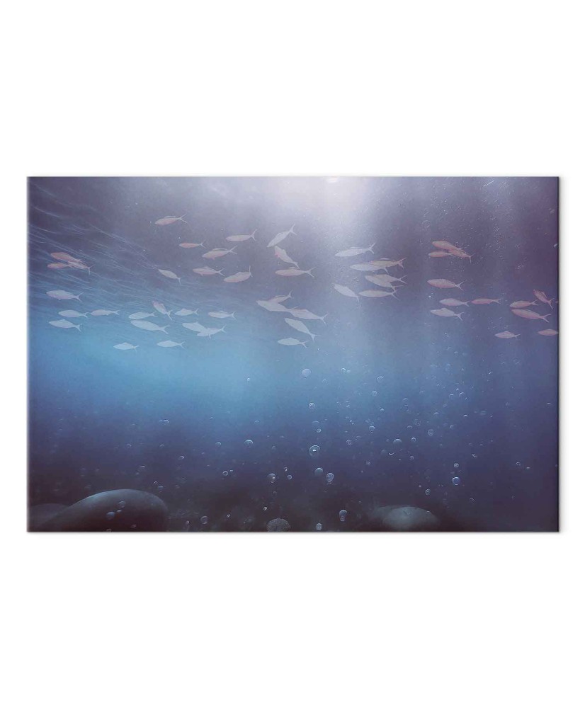 Paveikslas Žuvų gelmės