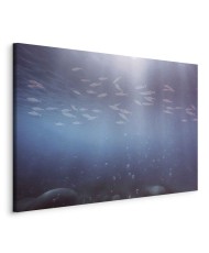 Paveikslas Žuvų gelmės