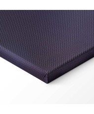 Paveikslas Žuvų gelmės