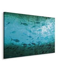 Paveikslas Tamsių žuvų būrys