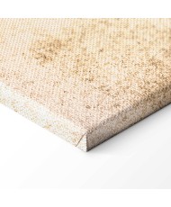 Paveikslas Subtilios žuvys