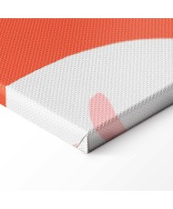 Paveikslas Egzotiški sparnai