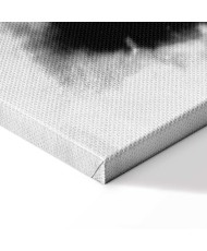 Paveikslas Šviesos tapyba