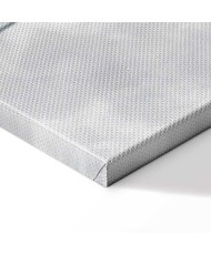 Paveikslas Poilsiaujanti mūza