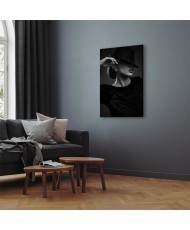 Paveikslas Svajotoja