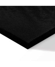 Paveikslas Svajotoja