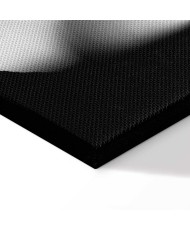 Paveikslas Jusli elegancija