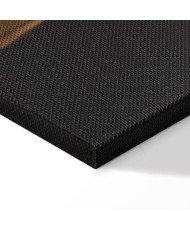 Paveikslas Mido prisilietimas