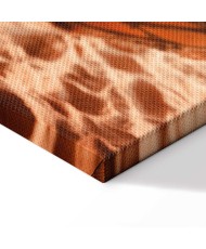 Paveikslas Hamakas paplūdimyje