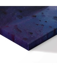 Paveikslas Artimas susitikimas