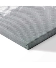 Paveikslas Priešybės