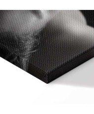 Paveikslas Dūmų debesis