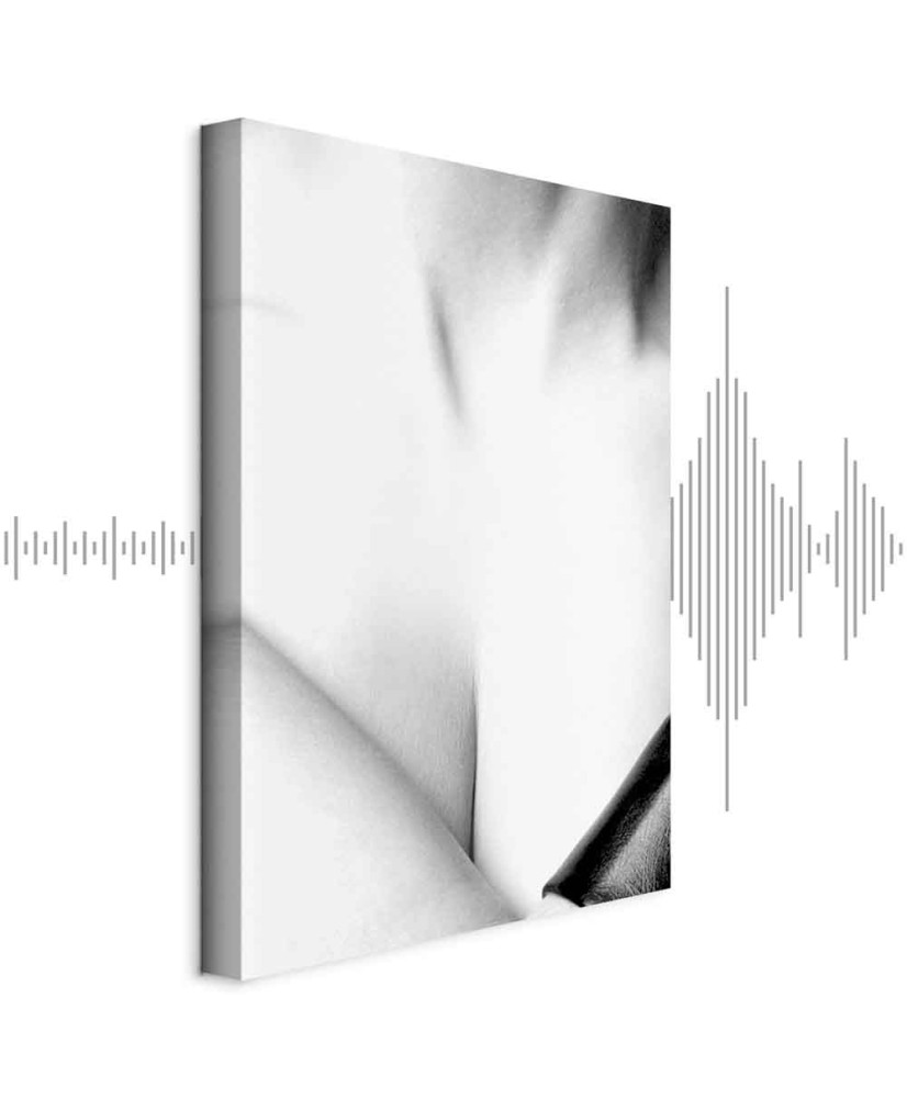 Paveikslas Grakštumas