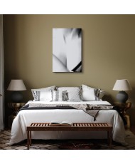 Paveikslas Grakštumas