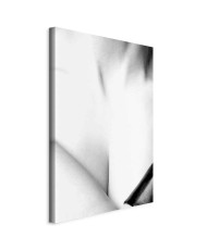 Paveikslas Grakštumas