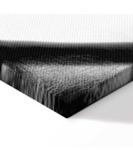 Paveikslas Grakštumas