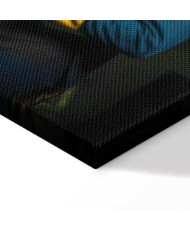 Paveikslas Auditorija