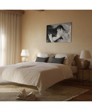 Paveikslas Švelnios priešybės