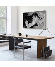 Paveikslas Švelnios priešybės