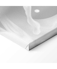 Paveikslas Švelnios priešybės