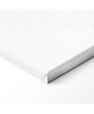 Paveikslas Tinklinio žaidėjas baltame fone