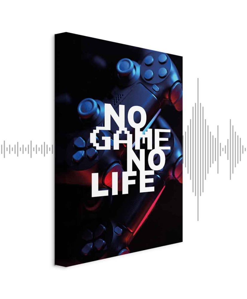 Paveikslas No Game No Life