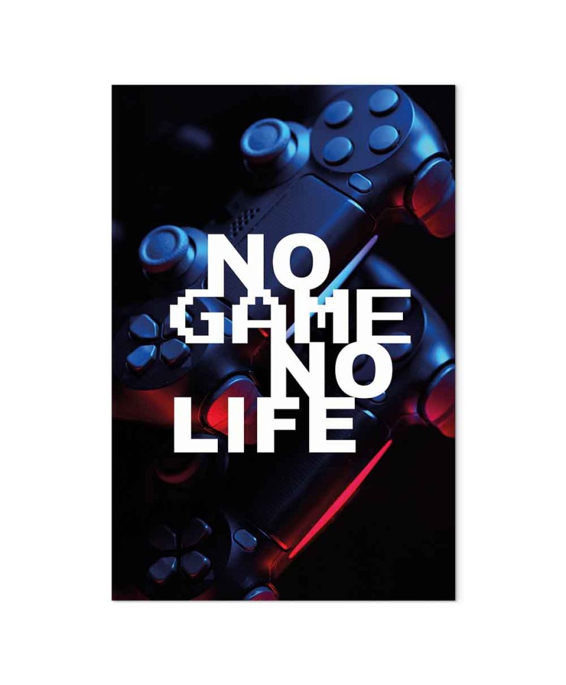 Paveikslas No Game No Life