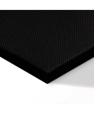 Paveikslas No Game No Life