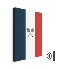 Paveikslas Juodos badmintono raketės Prancūzijos vėliavos fone