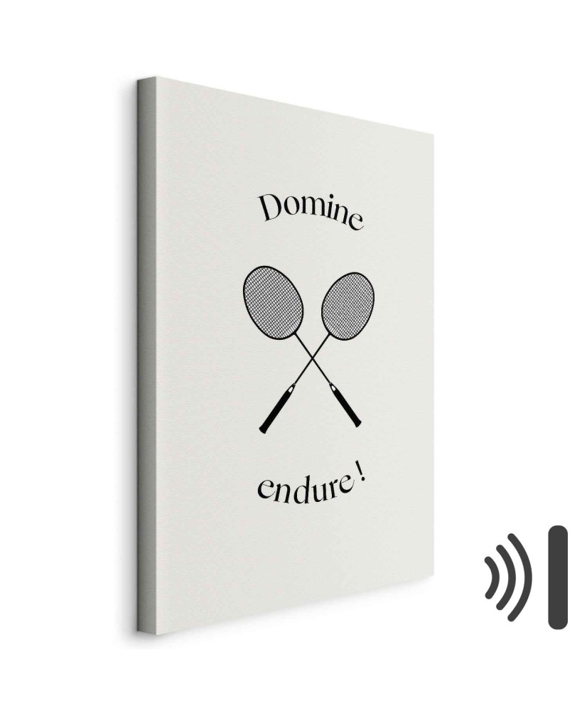 Paveikslas Juodos badmintono raketės