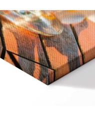 Paveikslas Gaivi meilė