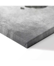 Paveikslas Tapytos planetos