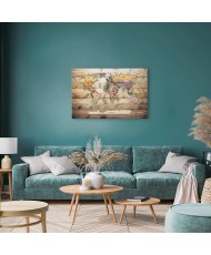 Paveikslas Spalvingų kontinentų pasaulio žemėlapis