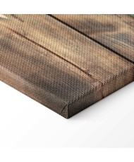 Paveikslas Spalvingų kontinentų pasaulio žemėlapis