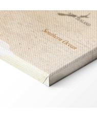 Paveikslas Smėlio šiko pasaulio žemėlapis