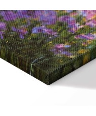 Paveikslas Claude Monet - Menininko sodas Živerni