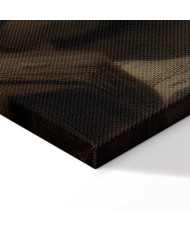 Paveikslas Rembrandt - Daktaro Tulpo anatomijos pamoka