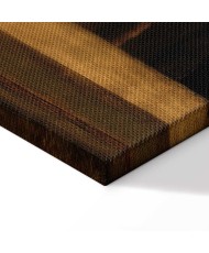 Paveikslas Leonardo da Vinci - Gražioji Feronjerė