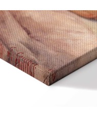 Paveikslas Gustave Courbet - Miegančioji