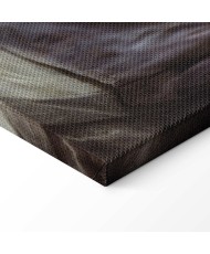 Paveikslas Diego Velázquez - Rokebio Venera