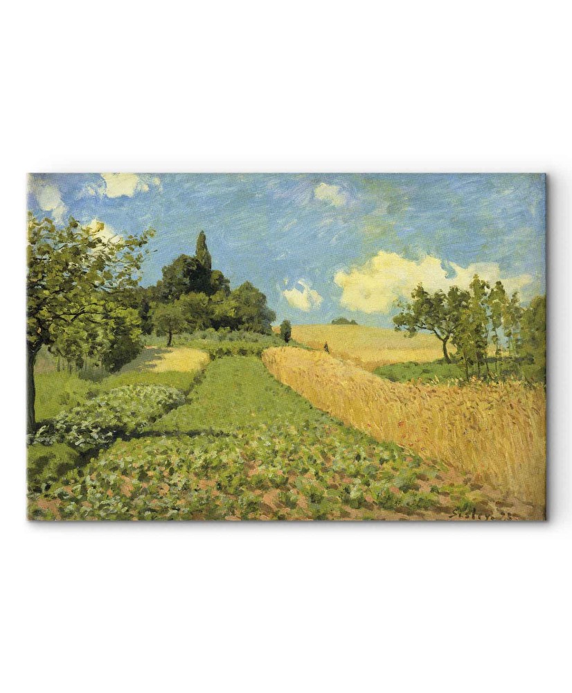 Paveikslas Alfred Sisley - Javų laukai Argenteuil kalvose
