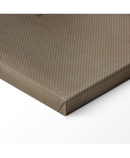 Paveikslas Frida Kahlo - Šuo itzcuintli su manimi