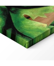 Paveikslas Frida Kahlo - Autoportretas su kasa