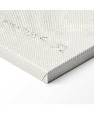 Paveikslas Henri Matisse - Krintantys plaukai