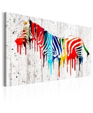 Paveikslas  Colourful Zebra