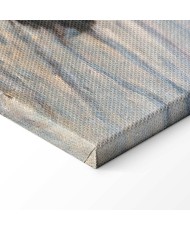 Paveikslas Claude Monet - Valties ištempimas į krantą, Honfleras