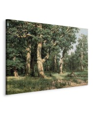 Paveikslas Ivan Shishkin - Ąžuolų miškas