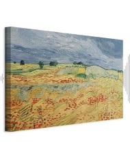 Paveikslas Vincent van Gogh - Laukai su aguonomis